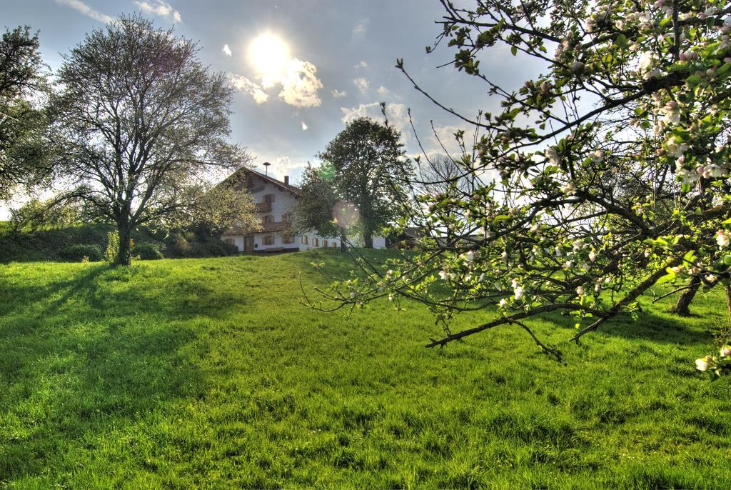 Bio Ferienhof Heiler Feldkirchen-Westerham Buitenkant foto